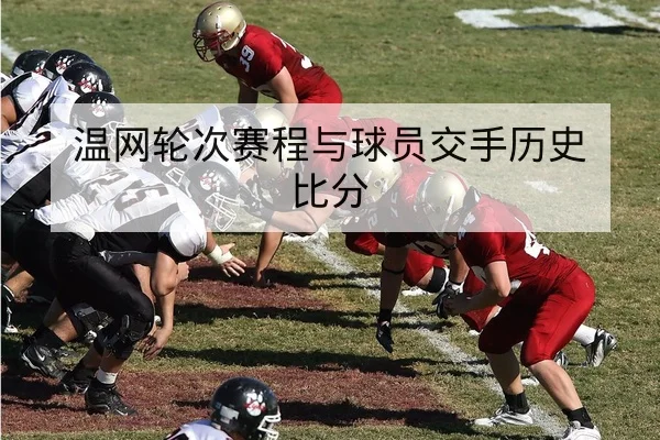 中超本赛季积分榜实时排名与主客场得分对比